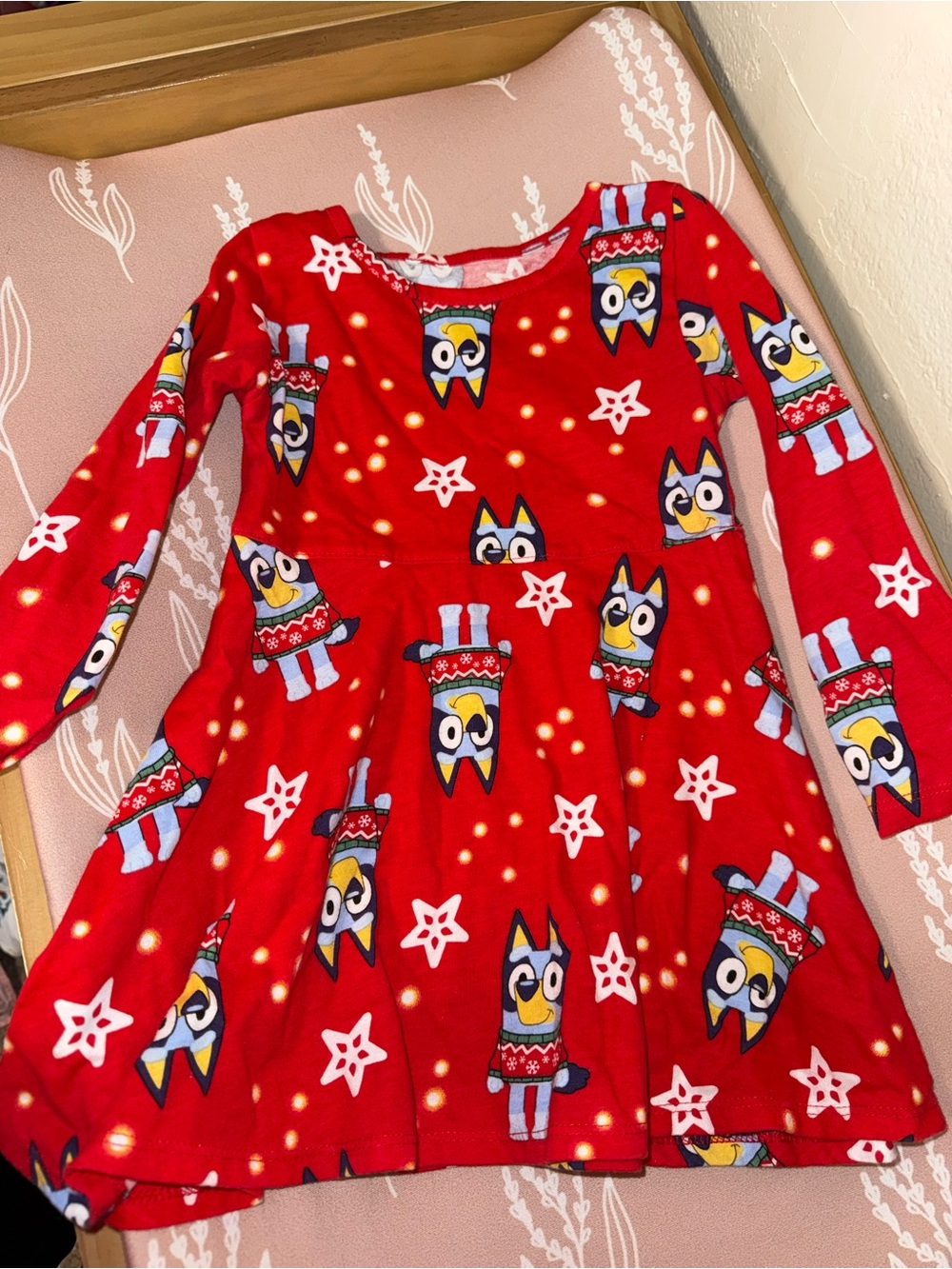 Bluey Holiday Dress